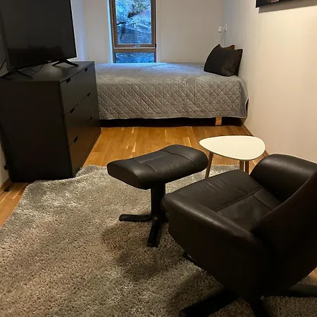 139m2, 5 Bedrooms, 2 Baths, With Sauna, In Out * Kongsberg